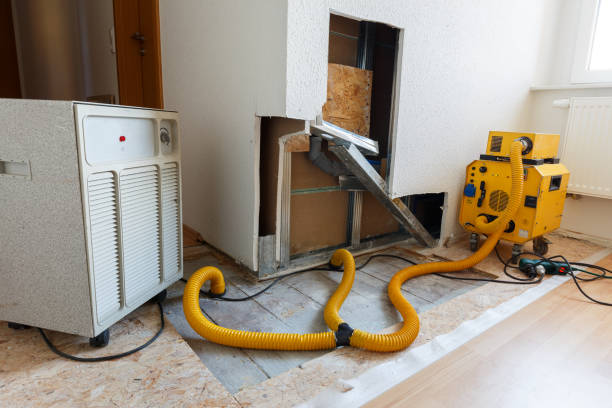 Best Emergency Mold Remediation  in Hlside, IL